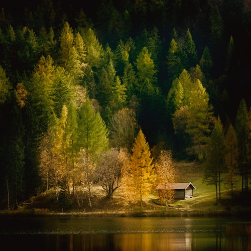 Uwe Steger, Nature Art Color I (Herbst, See, Modern, Büro, Wohnzimmer, Landschaftsfotgrafie, Landschaften, Wald, Fotokunst, Wunschgröße)