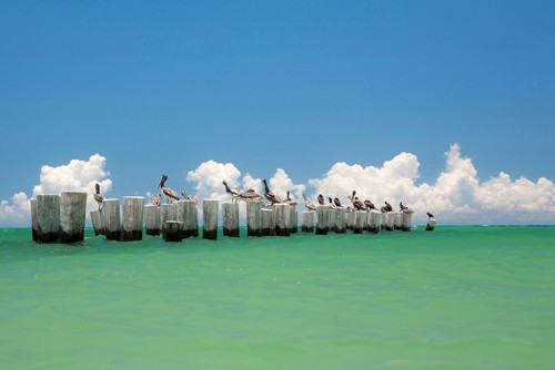 Verne Varona, Gull Conference (Meer, Wellenbrecher, Möwen, Wolken, Horizont, Meeresbirse, Wohnzimmer, Badezimmer, Wunschgröße, Malerei, blau/grün)