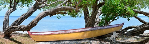 Steve Vaughn, Yeloow Bird Boat (Strand, Meer, Bäume, Boot,  Urlaub, Sommer, Meeresbrise, Wohnzimmer, Treppenhaus, Fotografie, Wunschgröße, bunt)