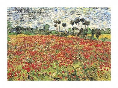 Vincent van Gogh, Field of Poppies (Klassische Moderne, Impressionismus, Malerei, Landschaft, Natur, Panorama, Blumen, Mohn, Feld, Blumenfeld, Wohnzimmer, Arztpraxis, Schlafzimmer, bunt)