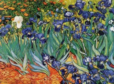 Vincent van Gogh, Iris (Klassische Moderne, Impressionismus, Malerei, Blumen, Blüten, Blumengarten, Pracht, Schwertlilien, Iris,  Blütenpracht, Wohnzimmer, Arztpraxis, Schlafzimmer, Wintergarten, bunt)