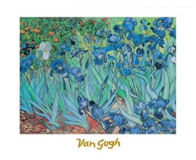 Vincent van Gogh, Iris (Klassische Moderne, Impressionismus, Malerei, Blumen, Blüten, Blumengarten, Pracht, Schwertlilien, Iris,  Blütenpracht, Wohnzimmer, Arztpraxis, Schlafzimmer, Wintergarten, bunt)