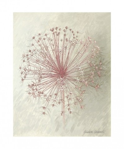 Elisabeth Verdonck, ALLIUM SEEDHEAD II (Malerei, Blumen, Natur, Lauch, Samen, Floral, Blüten, Wohnzimmer, Treppenhaus, Schlafzimmer, bunt)