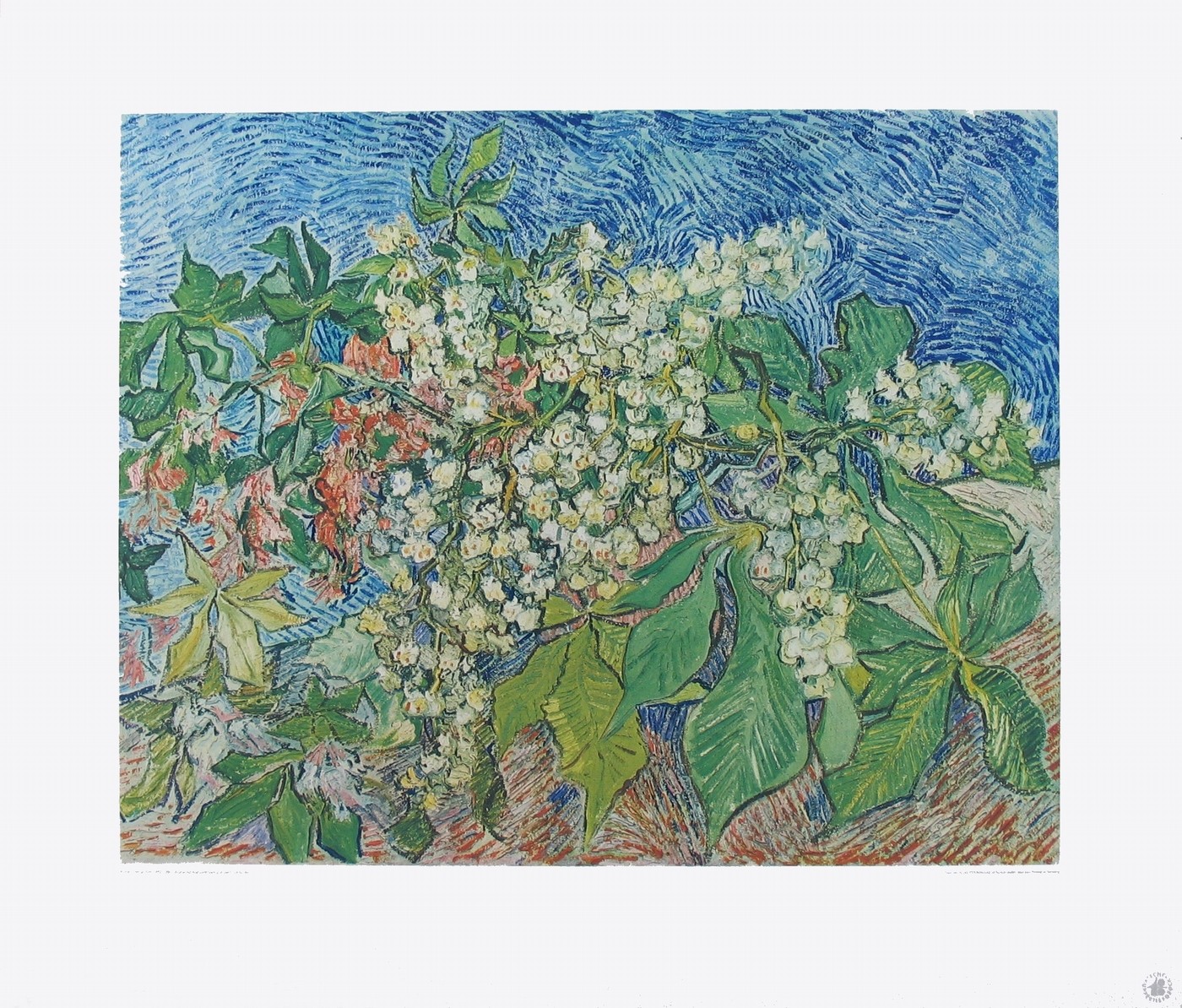 Vincent van Gogh, Blühender Kastanienzweig (Kupfertiefdruck) (Klassische Moderne, Impressionismus, Grafik, Blumen, Blüten, Kastanienblüten, Zweig, Blütenpracht, Wohnzimmer, Arztpraxis, Schlafzimmer, Wintergarten, bunt)
