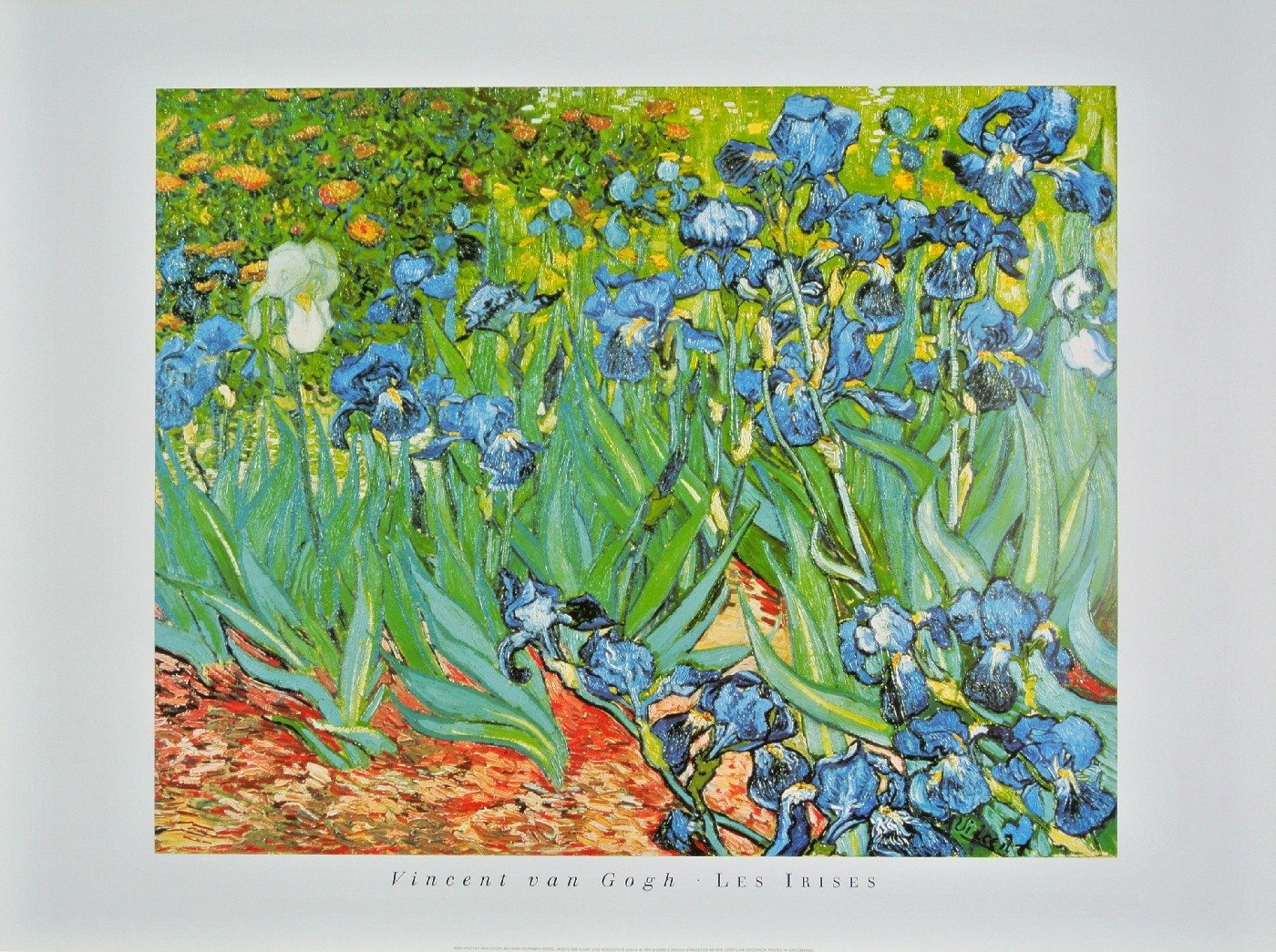 Vincent van Gogh, Schwertlilien - Iris Garden (Klassische Moderne, Impressionismus, Malerei, Blumen, Blüten, Blumengarten, Pracht, Schwertlilien, Iris,  Blütenpracht, Wohnzimmer, Arztpraxis, Schlafzimmer, Wintergarten, bunt)