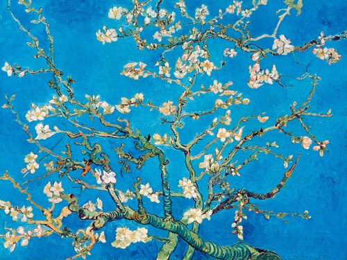 Vincent van Gogh, Almond Blossom San Remy 1891 (Wunschgröße, Malerei, Klassische Moderne, Impressionismus, Pflanze, Baum, Ast, Mandelbaum, Mandelblüte, Wohnzimmer, Schlafzimmer, Wintergarten, bunt)
