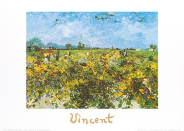 Vincent van Gogh, The green vineyard (Klassische Moderne, Impressionismus, Malerei, Landschaft, Natur, Panorama,  Wein, Weinstöcke, Weingarten, Wohnzimmer,  Schlafzimmer, Wintergarten, bunt)