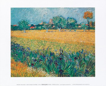 Vincent van Gogh, Vista di Arles con irises (Klassische Moderne, Impressionismus, Malerei, Frankreich, Südfrankreich, Landschaft, Panorama, Felder, Getreide, Blumen, Iris, Häuser, Esszimmer, Wohnzimmer, Arztpraxis, bunt)