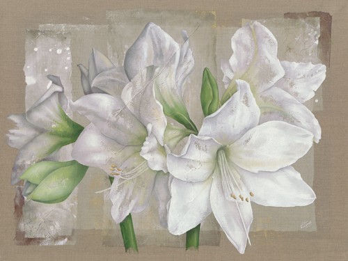 Virginie Cadoret, Amaryllis Blanc (Blumen, Blüten, weiße Amaryllis, zart, transparent, Wunschgröße, modern, Malerei, zeitgenössisch, Wohnzimmer, Treppenhaus, weiß/beige)