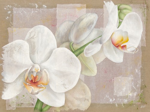 Virginie Cadoret, Orchide (Blumen, Blüten, weiße Orchidee, zart, transparent, Wunschgröße, modern, Malerei, zeitgenössisch, Wohnzimmer, Treppenhaus, weiß/beige)
