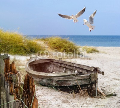 Visions-AD, altes Fischerboot, Möwen, Strand und Meer (stranden, meer, ostsee, nordsee, sanddünen, gull, boot, trawler, bejahrt, schiff, holz, gull, lachmöwe, küste, wasser, himmel, see, sand, seegras, urlaub, reise, urlaub, sommer, blau, sonne, warm, erholung, postkarte, muster, ozean, entspannung, san)