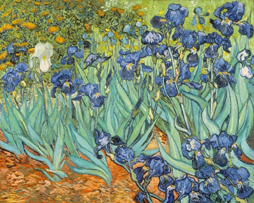 Vincent van Gogh, Iris (Klassische Moderne, Impressionismus, Malerei, Natur, Blumen, Blüten,  Schwertlilien, Iris, Wohnzimmer, Arztpraxis, Schlafzimmer, Wintergarten, bunt)