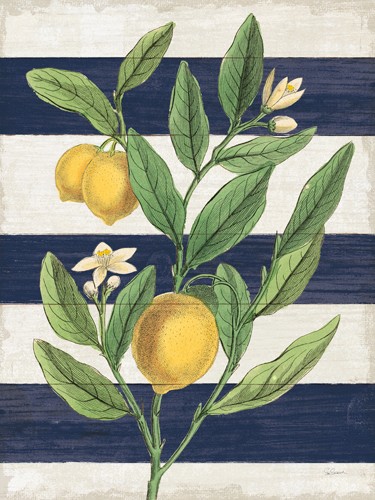 Sue Schlabach, Classic Citrus V Navy  Shiplap NW (Zitronen, Zitronenzweig, Zitronenblüten, Botanik, Pflanze, Streifen, blau/weiße Querstreifen, mediterran, Esszimmer, Küche, Wunschgröße)