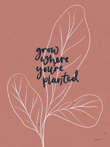 Becky Thorns, Balance III (Spruch, Lebensphilosophie, Motto, Kalligrafie, Pflanze, Blätter, Umrisszeichnung, Inspiration, Motivation, Wunschgröße, Treppenhaus)