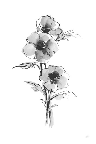 Chris Paschke, Wash Anemone II (Blume, Blüte, Anemone, zart, filigran, Aquarell, Treppenhaus, Wohnzimmer, Wunschgröße, schwarz/weiß)
