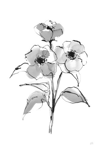 Chris Paschke, Wash Poppy II (Blume, Blüte, Mohnblume, zart, filigran, Aquarell, Treppenhaus, Wohnzimmer, Wunschgröße, schwarz/weiß)