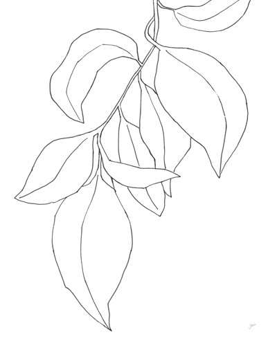 Karyn Panganiban, Line Leaves I (Blatt, Zweig, Linien, filigran, Zeichnung, Umrisse, Wunschgröße, Teppenhaus, schwarz/weiß)