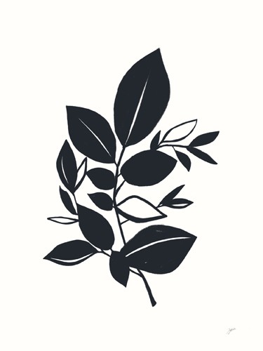 Karyn Panganiban, Bay Leaves I (Blatt, Zweig, Linien, filigran, Zeichnung, Umrisse, Wunschgröße, Teppenhaus, schwarz/weiß)