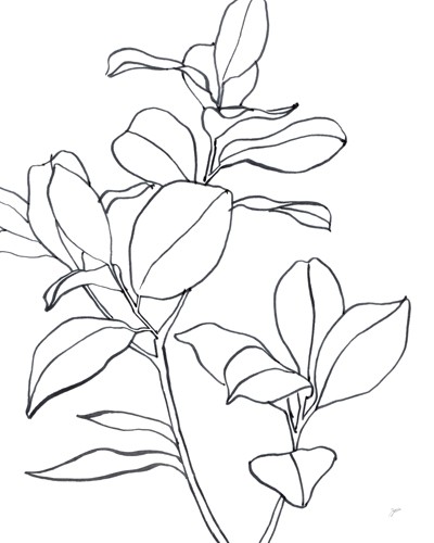 Karyn Panganiban, Magnolia Branch I (Blatt, Zweig, Linien, filigran, Zeichnung, Umrisse, Wunschgröße, Teppenhaus, schwarz/weiß)