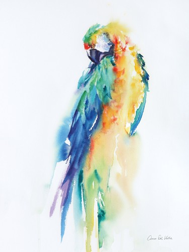 Aimee del Valle, Colorful Parrots II (Papagei, Ara, Vogel, exotisch, Aquarell, Malerei, Wunschgröße, Treppenhaus, Wohnzimmer, bunt)