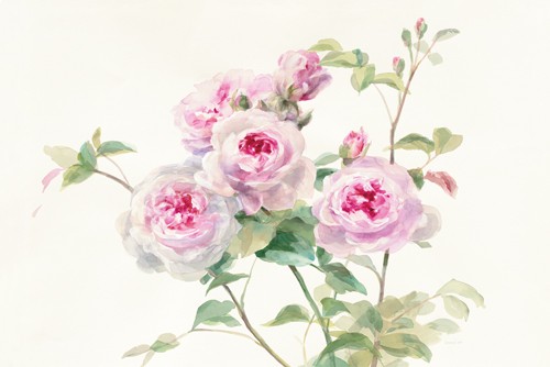 Danhui Nai, Sweet Roses on White Green (Wunschgröße, Malerei, Rosen, edel, zart, Blüten, Blumen, Wohnzimmer, Treppenhaus, Schlafzimmer, rosa/bunt)