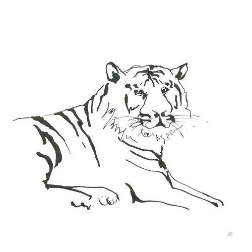 Chris Paschke, African Animals III (Tiger, Raubkatze, Tier, Portrait, Zeichnung, Treppenhaus, Wohnzimmer, Wunschgröße, schwarz/weiß)