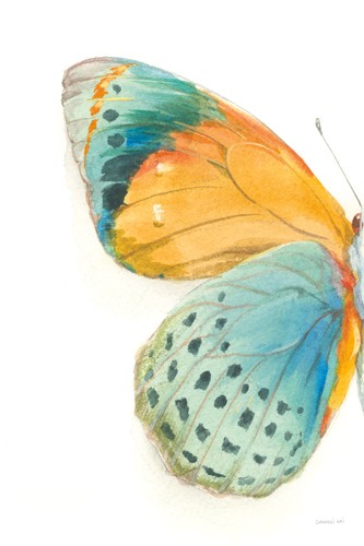 Danhui Nai, Fragile Wings I (Schmetterling, Flügel, Insekt, fragil, filigran, Wunschgröße, Malerei, Wohnzimmer, Treppenhaus, Schlafzimmer, pastell - bunt)