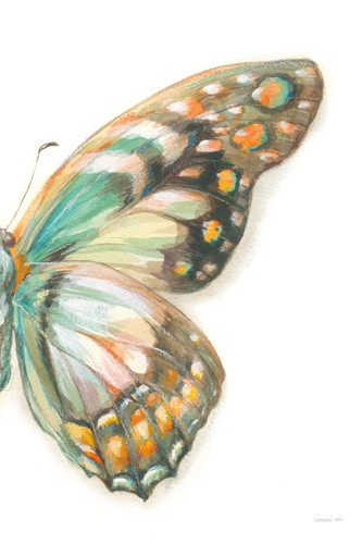 Danhui Nai, Fragile Wings II (Schmetterling, Flügel, Insekt, fragil, filigran, Wunschgröße, Malerei, Wohnzimmer, Treppenhaus, Schlafzimmer, pastell - bunt)