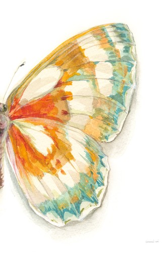 Danhui Nai, Fragile Wings IV (Schmetterling, Flügel, Insekt, fragil, filigran, Wunschgröße, Malerei, Wohnzimmer, Treppenhaus, Schlafzimmer, pastell - bunt)