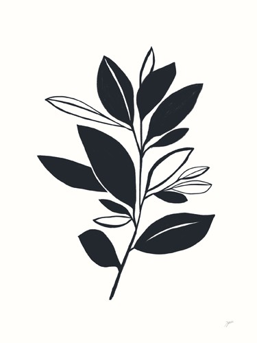Karyn Panganiban, Bay Leaves II (Blatt, Zweig, Linien, filigran, Zeichnung, Umrisse, Wunschgröße, Teppenhaus, schwarz/weiß)