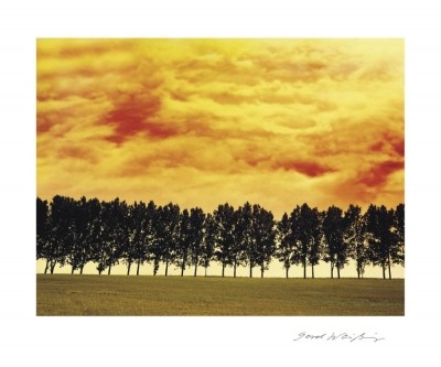 Gerd Weissing, AFTERGLOW I (Landschaft, Wolken, Himmel, Glühen, Bäume, Wolken, Wohnzimmer, Treppenhaus, Fotokunst, bunt)
