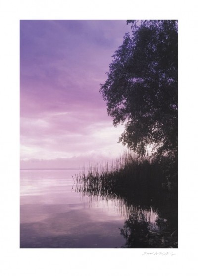 Gerd Weissing, IDYLLIC LAKE III (Landschaft, Dämmerung, Dunst, Stille,, Himmel, See, Idylle, Wohnzimmer, Treppenhaus, Fotokunst, rosa/violett)