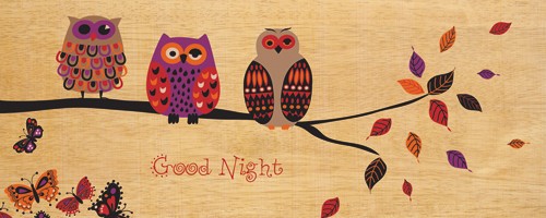 Wild Apple Portfolio, Good Night Owl (Wunschgröße, Grafik, Eulen, Vögel, Gute Nacht, Kinderwelten, Kinderzimmer, Schlafzimmer, bunt)