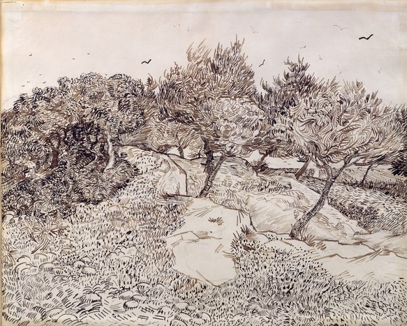 Vincent van Gogh, The Olive Trees (pen & ink on paper)