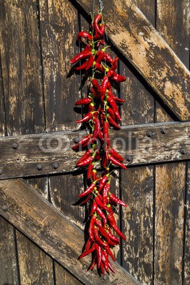 Y. Papadimitriou, Red chili peppers (pfeffer, frostig, rot, holz, hintergrund, chilies, organisch, scharf essen, küche, retro, rustikal, tapate, veganer, reif, viele, gewürtz, grün, mexico, braun, seil, licht, alt, element, gemüse, aromatischer geschmackstoff, kulinarisch, objekt, stenge)