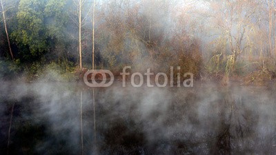 Zacarias da Mata, Dawn on the river Ave (fluß, morgens, frühe, nebelig, nebel, dunst, herbst, ruhe, , landschaft, wald, , binnensee, landschaft, licht, natur, Wohnzimmer,Treppenhaus,Flur,Fotokunst,Landschaftsfotografie)