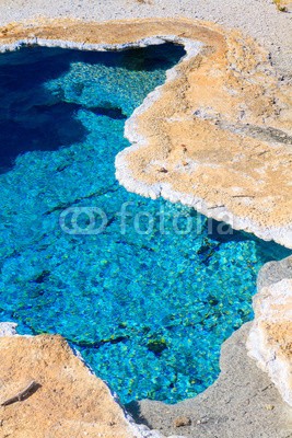 Zechal, Yellowstone National Park, Blue Star Spring in the Upper Geyser (blau, yellowstone, frühling, stern, geysir, alge, alkalisch, amerika, hintergrund, bakterien, becken, schöner, bronzed, chromatisch, verfärbt, bunt, reiseziel, ökologie, ausbruch, berühmt, geo, geologie, hitze, hot, orientierungspunkt, mikrobisc)