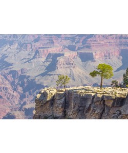 Ronny Behrendt, Grand Canyon view