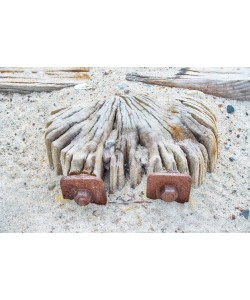 Irk Boockhoff, Verwittertes Holz am Strand 2