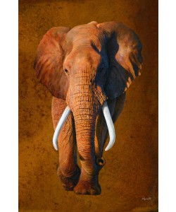 Jean-Marc Chamard, Elephant 03
