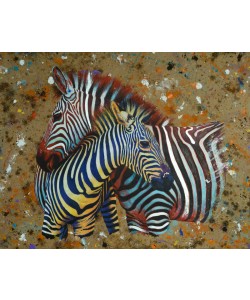 Jean-Marc Chamard, Zebras