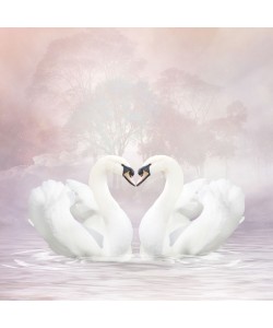 Babette, Love Swans
