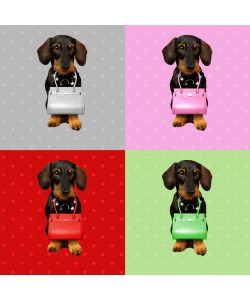 Babette, Teckel Board