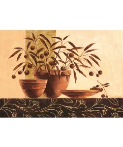 Claudia Ancilotti, Volterra