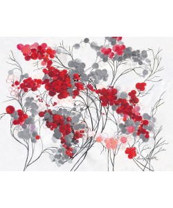 Claudia Ancilotti, Bubbletree