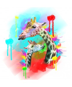 Sander Van Laar, Giraffe 1