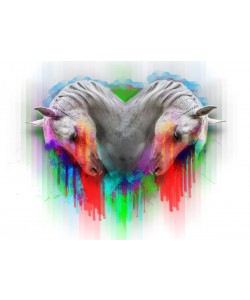 Sander Van Laar, Horses 2