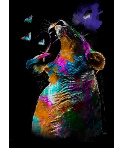 Sander Van Laar, Lion