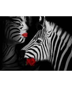 Babette, Zebra Love