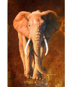 Jean-Marc Chamard, Elephant 02